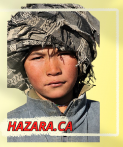 HAZARA BUY